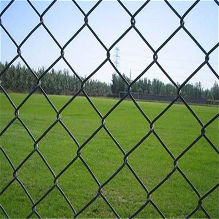 天津体育场护栏网选择勾花网作为主要部件而不是焊接网